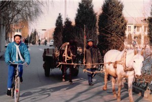 China Cart on Road